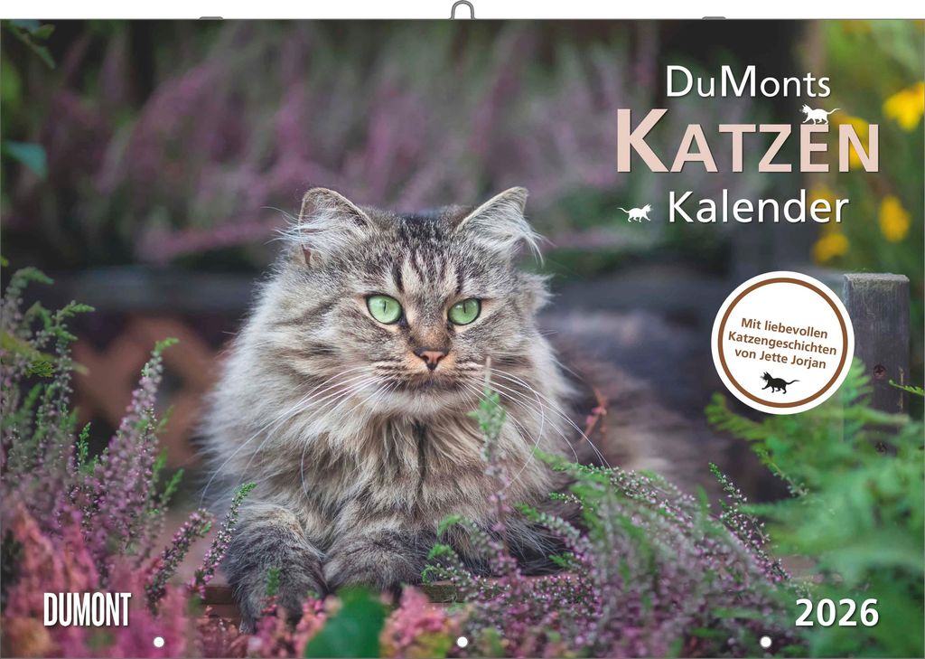 DUMONT - Katzenkalender 2026 - Broschürenkalender 42 x 29 cm mit 12 Katzenportraits, literarischen Geschichten & Schulferienterminen, Wandkalender...
