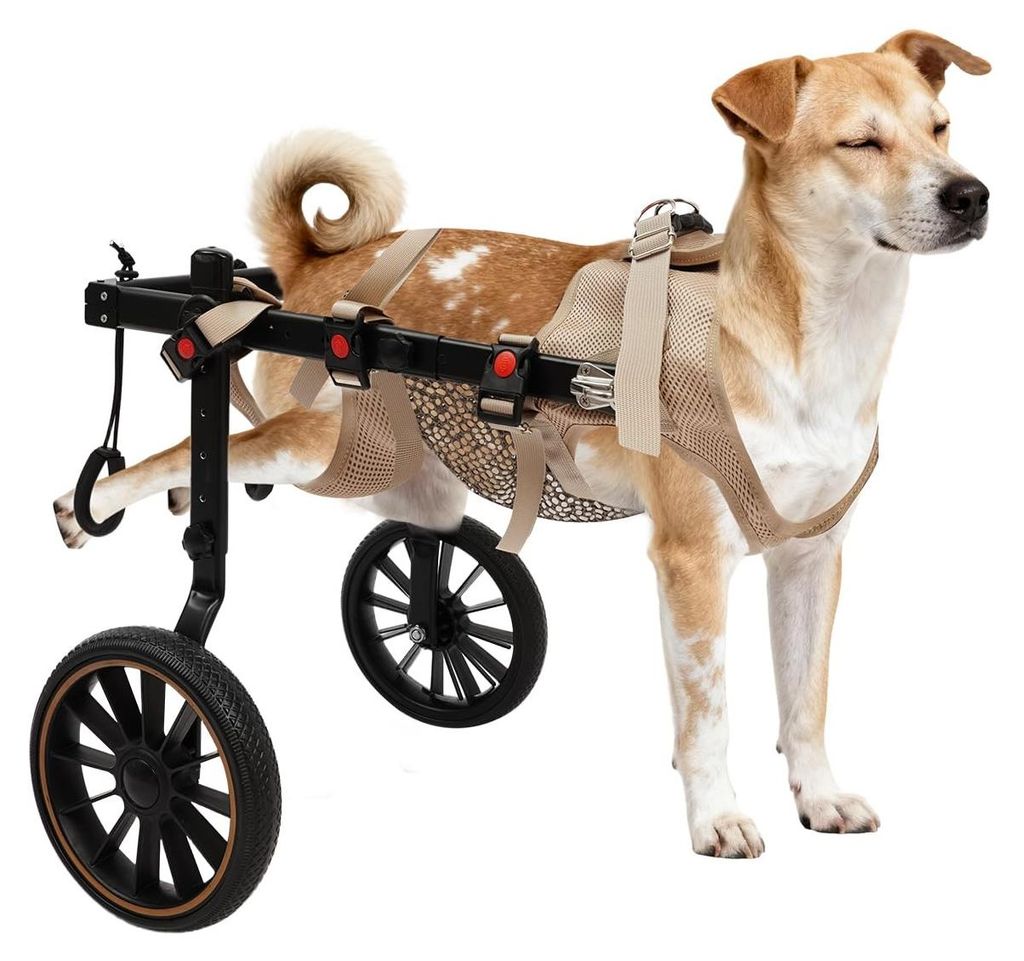 Carrello per cani regolabile in alluminio, adatto a cani di Immagine del prodotto 