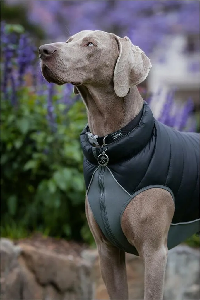 Cappottino Cane Red Dingo Reversibile 25 cm | Stile Nero e Grigio - 4
