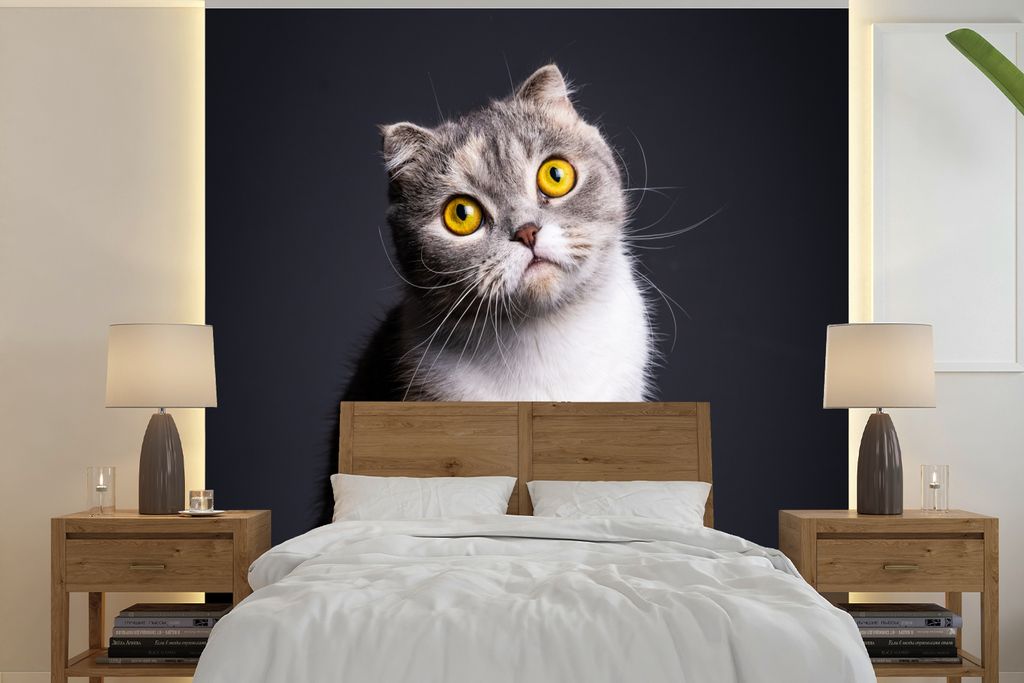 MuchoWow Fototapete für Wohnzimmer oder Schlafzimmer Wandtapete Vinyl Motivtapete Katze - Augen - Licht - 280x280 cm