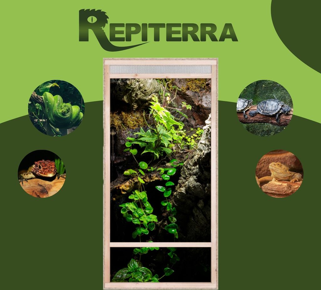 Repiterra® Hochterrarium Frontbelüftung Holzterrarium OSB Produktbild 5