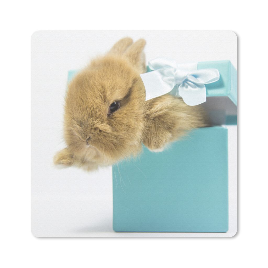 MuchoWow Mauspad Mousepad Kaninchen - Pastell - Blau 30x30 cm - Mousepads - Maus Mat - Pad - Mausunterlage - Gaming
