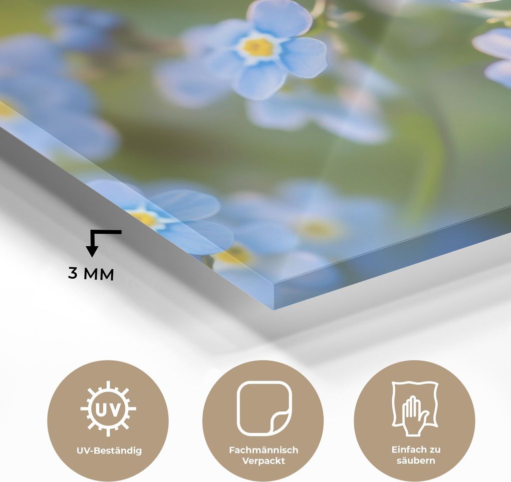 MuchoWow Glasbilder - Bilder auf Wandbild - Foto auf Glas Blumen - Blau - Vergissmeinnicht 40x30 cm Wanddekoration aus Glas - Acrylglasbild - Acryl...