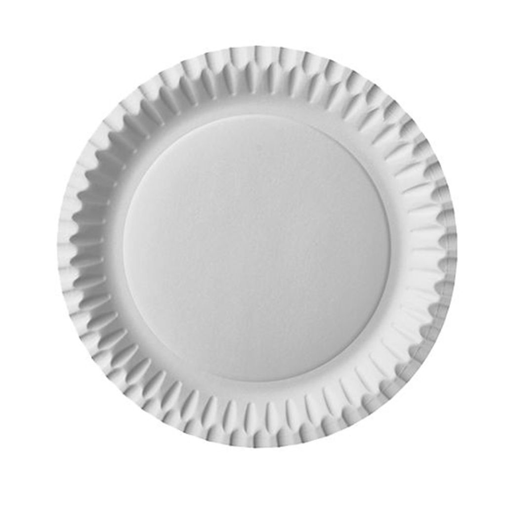 PAPSTAR 90020 Einweg Pappteller,23cm,100er Obrázok produktu 
