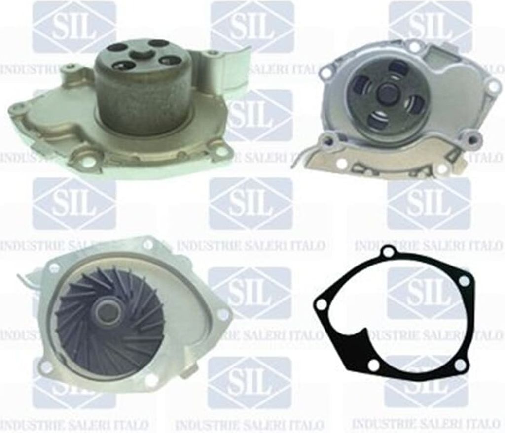 Saleri Wasserpumpe für Renault Grand Megane Scénic