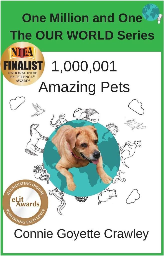 One Million and One Amazing Pets