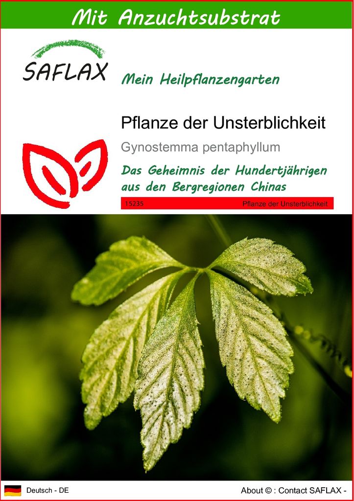 SAFLAX - Pflanze der Unsterblichkeit - Gynostemma Produktbild 