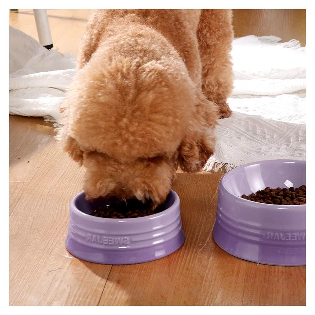 Gradient Hundenapf aus Keramik für große Hunde und Katzen, Porzellan Futternapf für Futter und Wasser, 32 oz (lila Farbverlauf)