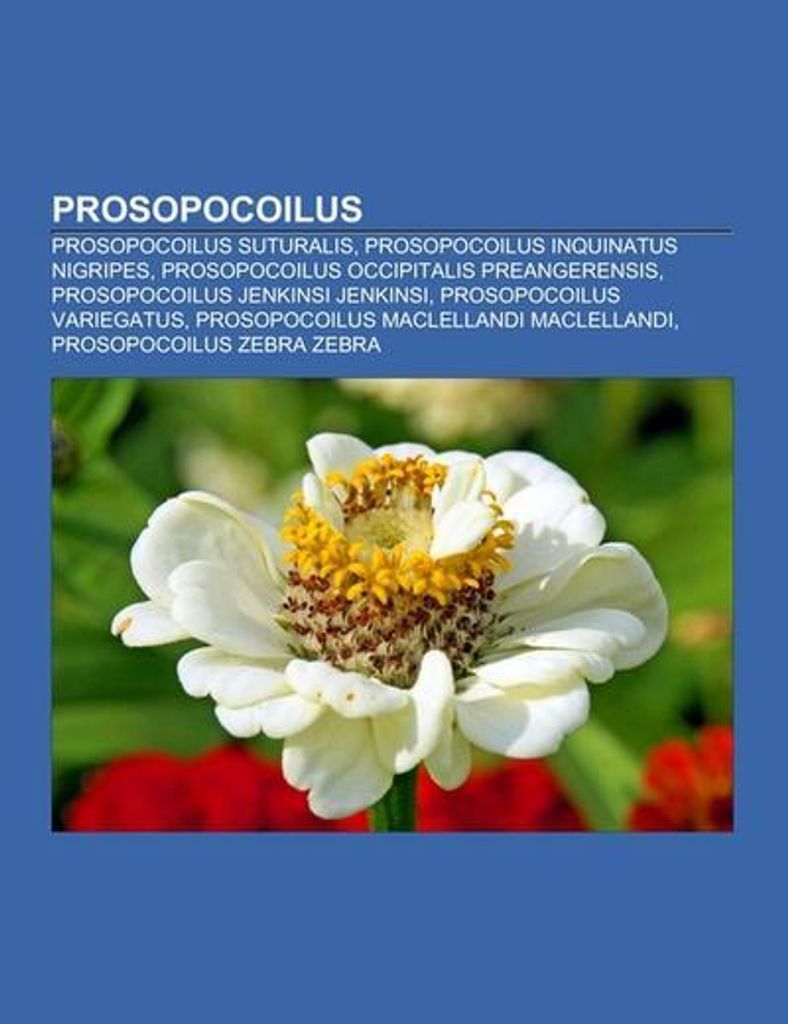 Prosopocoilus