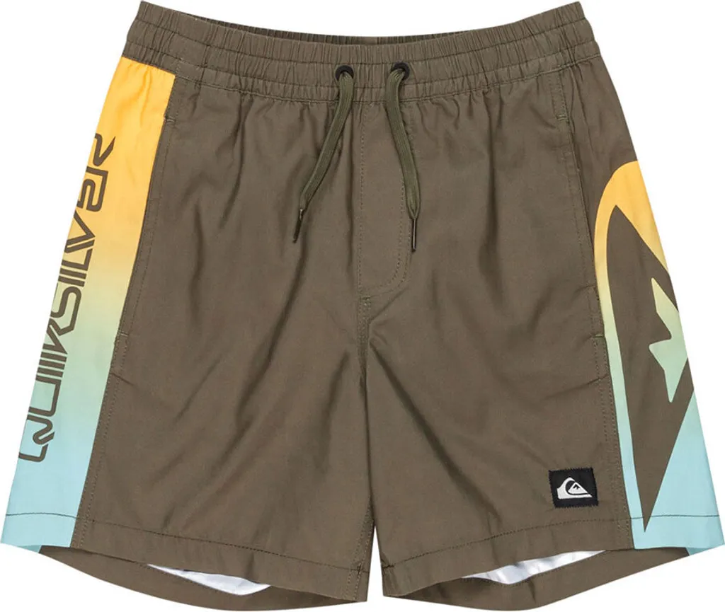 Costume Bagno Ragazzo Quiksilver Everyday Holmes Verde 14 Anni Online