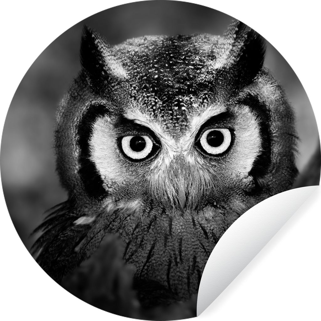MuchoWow Runde Wandtattoo - Wandsticker Tapete Aufkleber Vogel - Eule - Porträt - Schwarz - Weiß Ø 30 cm Selbstklebend und Repositionierbar - ...