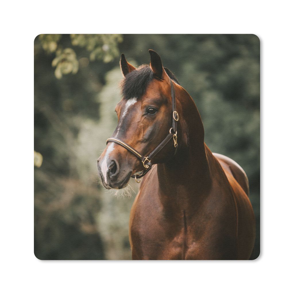 MuchoWow Mauspad Mousepad Pferd - Äste - Porträt 30x30 cm - Mousepads - Maus Mat - Pad - Mausunterlage - Gaming