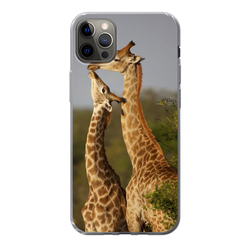 MuchoWow Handyhülle Schutzhülle Hülle für iPhone 12 Pro Max Giraffe - Baum - Kalb - Porträt Silikon Softcase Handy Hülle - Hartschale
