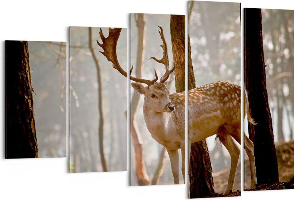 Bild auf Leinwand - Leinwandbild - Kitz Hirsch Tier wild - 150x100cm - Wand Bild - Wanddeko - Leinwanddruck - Bilder - Kunstdruck - Wanddekoration ...