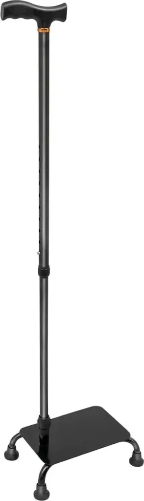 Aide pour demi-marches et canne d'escalier stable pour seniors - Noir