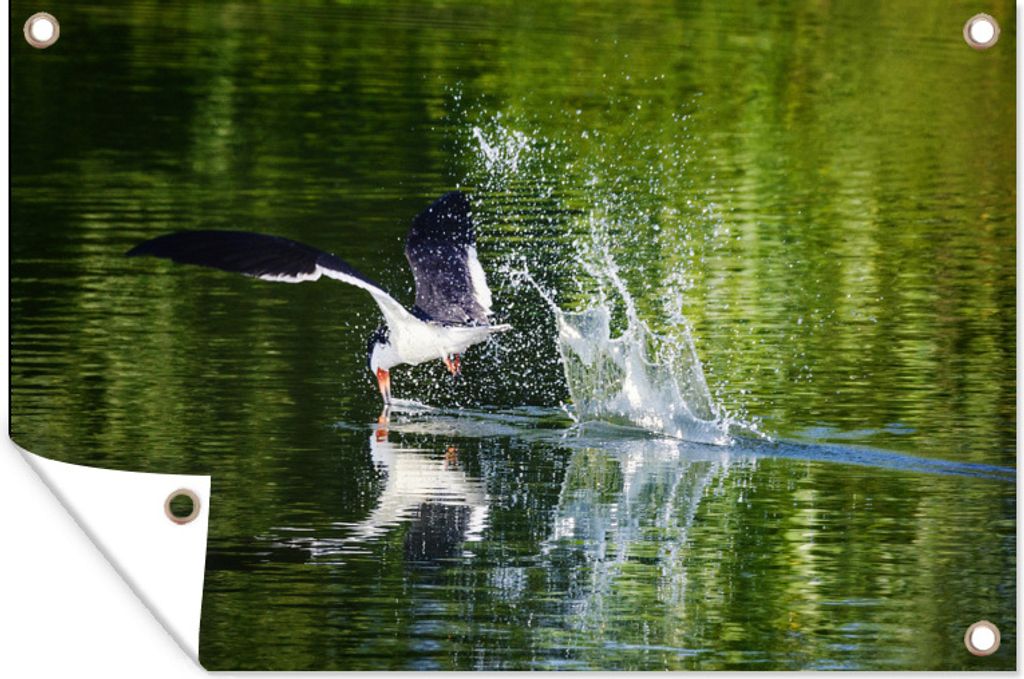 MuchoWow 120x80 cm Outdoor-Poster Gartendeko Sichtschutz Garten Poster für den Garten Eine Flussseeschwalbe sucht nach einem Fisch