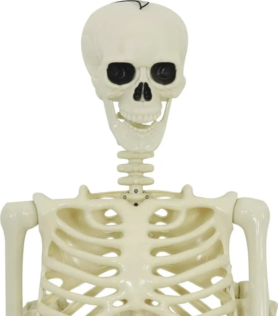 Squelette Halloween 2 pcs robuste en polypropylène pour une déco durable