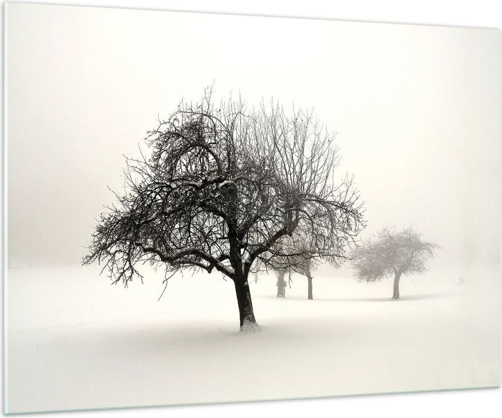 Bilder auf glas - Einteilig - Bäume Schnee Nebel - 100x70cm - Glasbilder - Wandbilder - Bilder - zum Aufhängen bereit - Wanddekoration aus Glas -...
