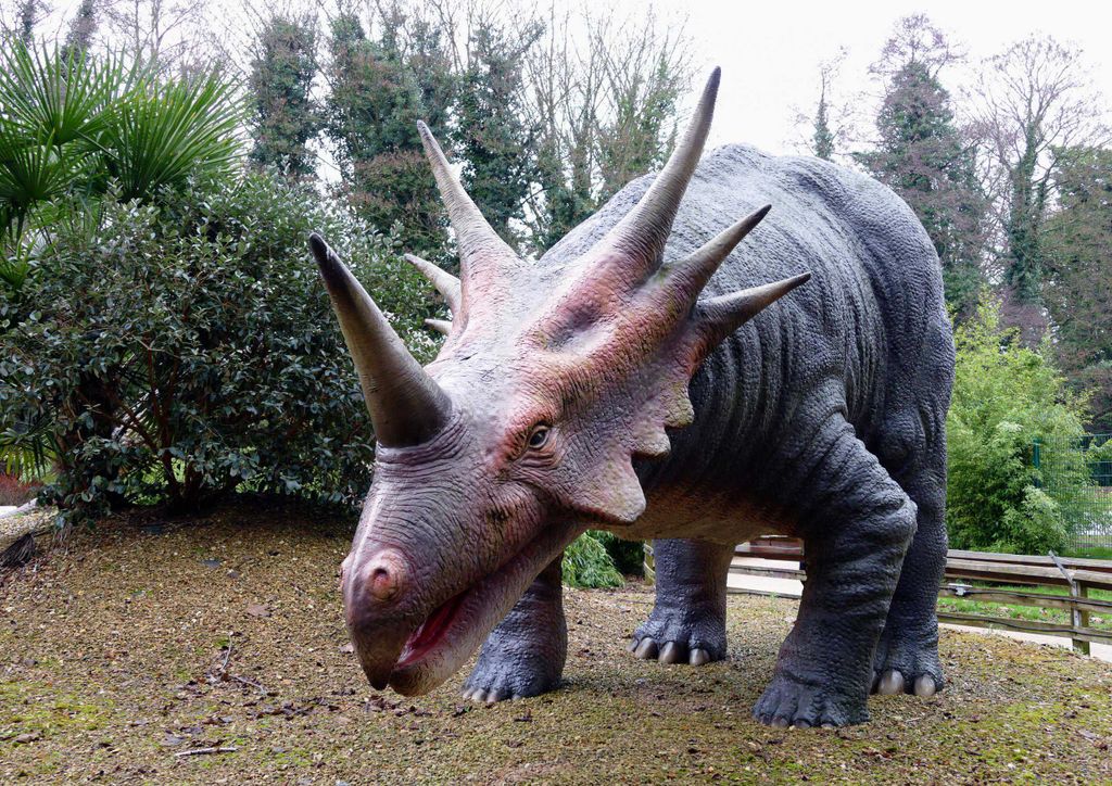 hansepuzzle 11378 - Styracosaurus Puzzle, 260 Teile, Orte, 41,0 x 28,0cm mit hochwertiger Aufbewahrung, Kartonbox und wiederverschließbarem Beutel