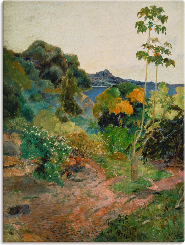 ARTland Leinwandbild Küstenlandschaft auf Martinique Größe: 60x80 cm