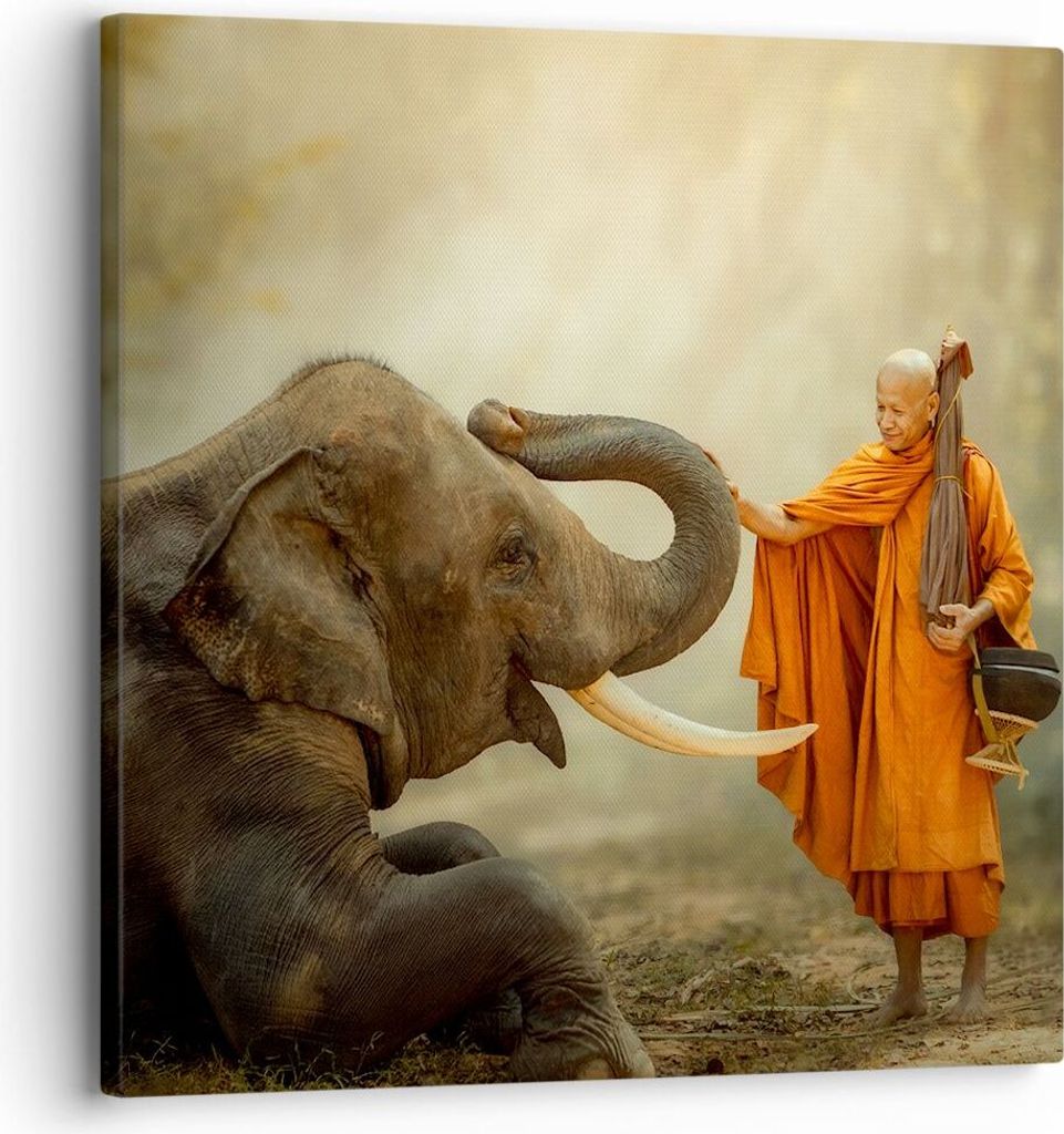 Bild auf Leinwand - Leinwandbild - Elefant Mönch Stoßzahn - 30x30cm - Wand Bild - Wanddeko - Leinwanddruck - Bilder - Kunstdruck - Wanddekoration...