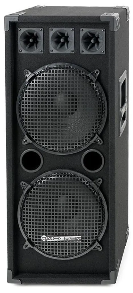 Enceinte double subwoofer 12 pouces DJ-2222 puissante de 1000W noire