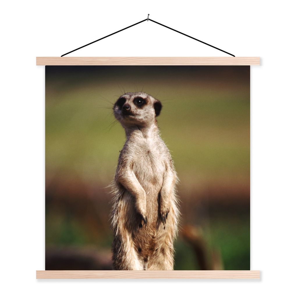 MuchoWow Textilposter Erdmännchen - Tier - Spiel 120x120 cm mit holzfarbenen Rahmen - Textil-Poster