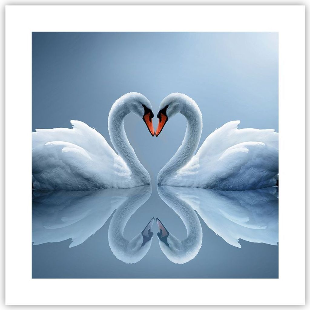 Poster - Poster ohne Rahmen - Ladung Dampf Wasser - 40x40 cm - Wand Bild - Wanddeko - Wandbilder - Kunstposter - Wandposter - Bilder - Kunstdruck -...