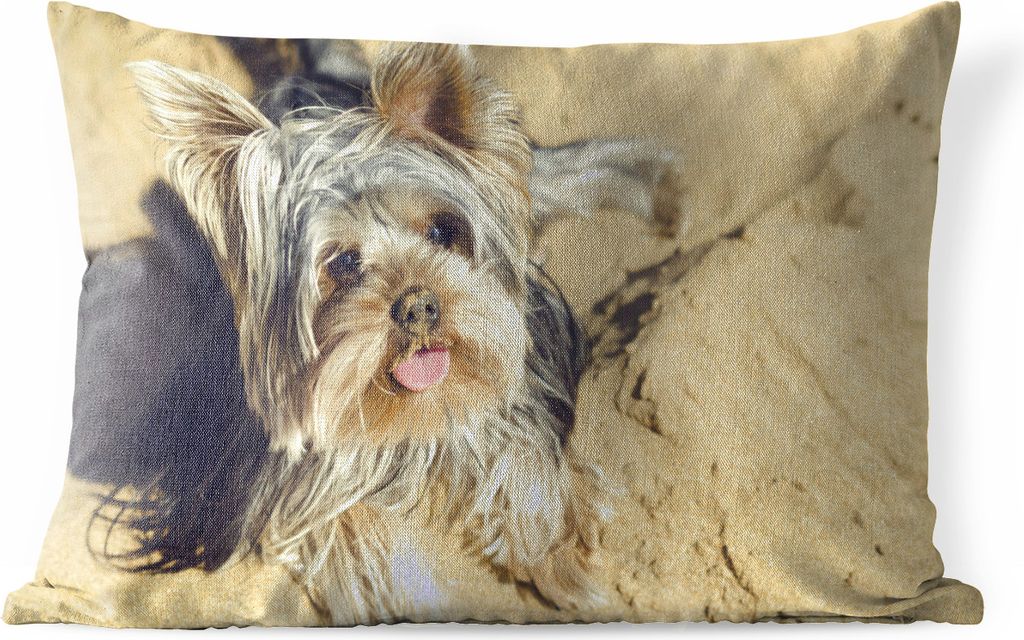MuchoWow Outdoor Kissen - Yorkshire Terrier am Strand - 50x30 cm - Wetterfest - Lounge Kissen - Sofa kissen - Wohnzimmer Dekoration