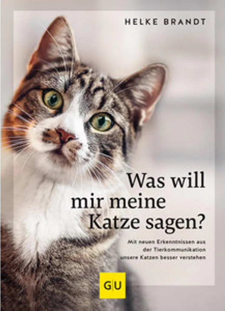 Was will mir meine Katze sagen? Stopper les incompréhensions félines
