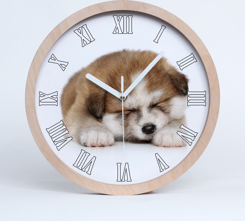 Holzuhr 20fi cm wanduhr - weiße Spitzen - akita Welpen