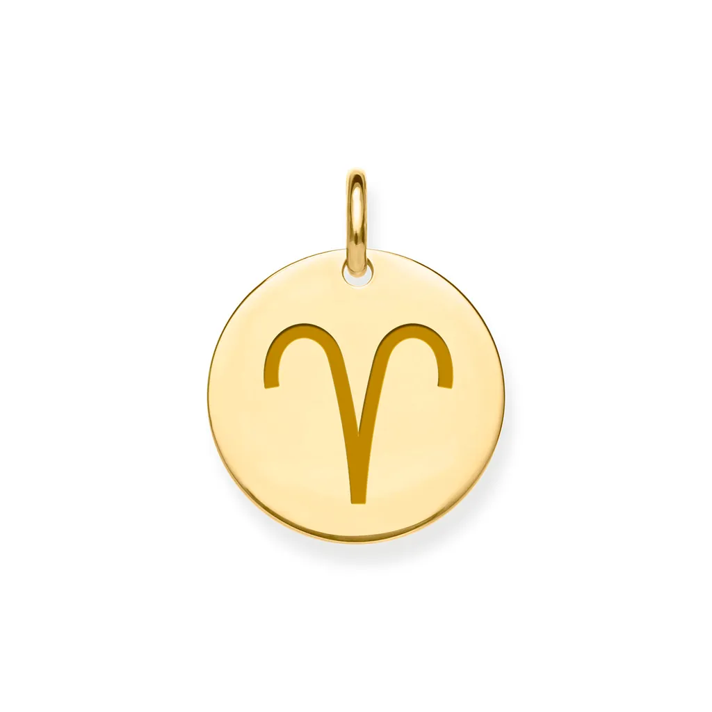 Pendentif Zodiaque en Or 375/1000 : Finition Polie et Format 16mm