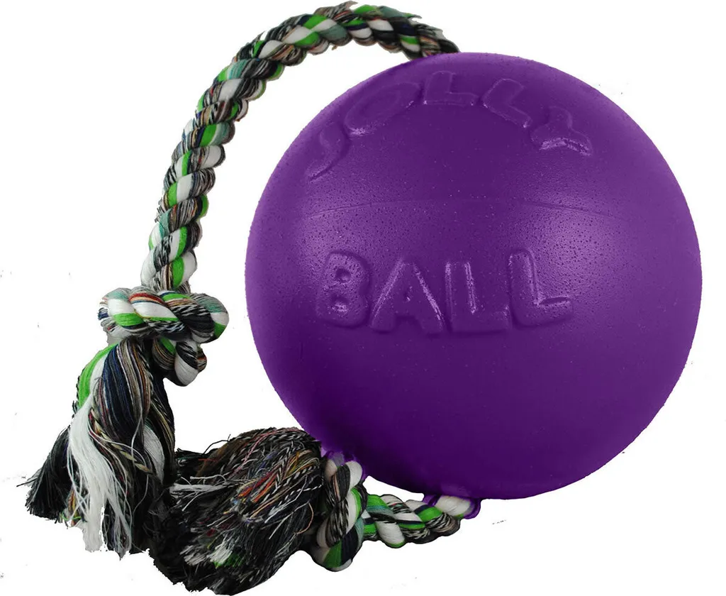 Balle pour Chien Increvable 20cm Jolly Pets Romp-N-Roll Violette TL5161