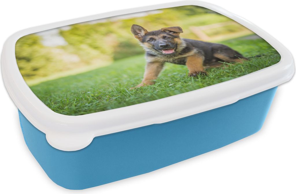 KitchenYeah Lunchbox Brotzeit Brotdose 17x11 cm Welpe sitzt im Gras Kinder Brotzeitdose - Lunch - Kunststoff - Brotbüchse - Sandwichbox - Lunch...