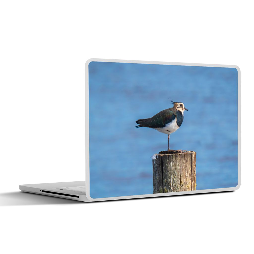 MuchoWow Laptop Aufkleber Sticker Cover Vogel - Tiere - Pfahl - Blau - Kiebitz 31x22.5 cm - Laptop-Deko