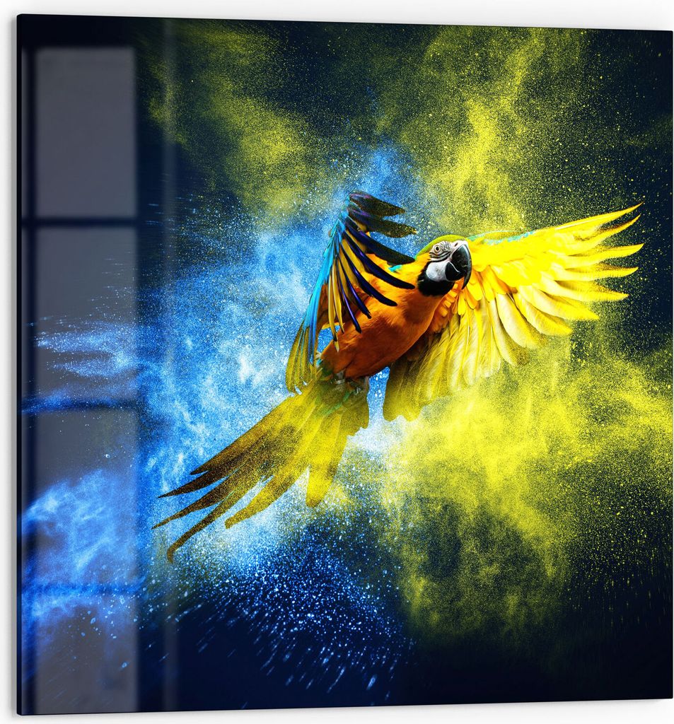 DEQORI Küchenrückwand Glas 60x60 cm 'Papagei in Farbwolke' Spritzschutz Bad Rückwand