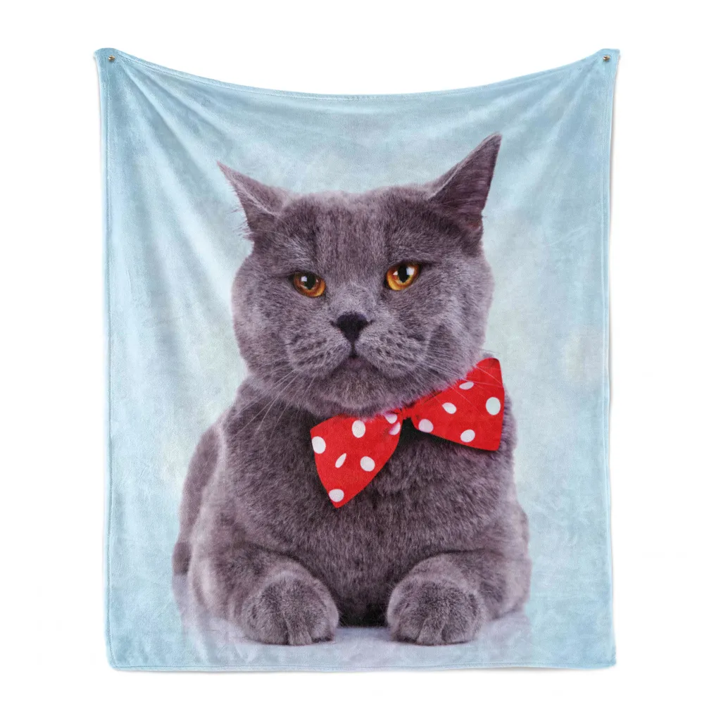 ABAKUHAUS Coperta morbida in flanella e pile per gatti, tema Scottish Fold grigio, morbida e confortevole per interni ed esterni, 125 x 175 cm, blu pallido Purpleblue