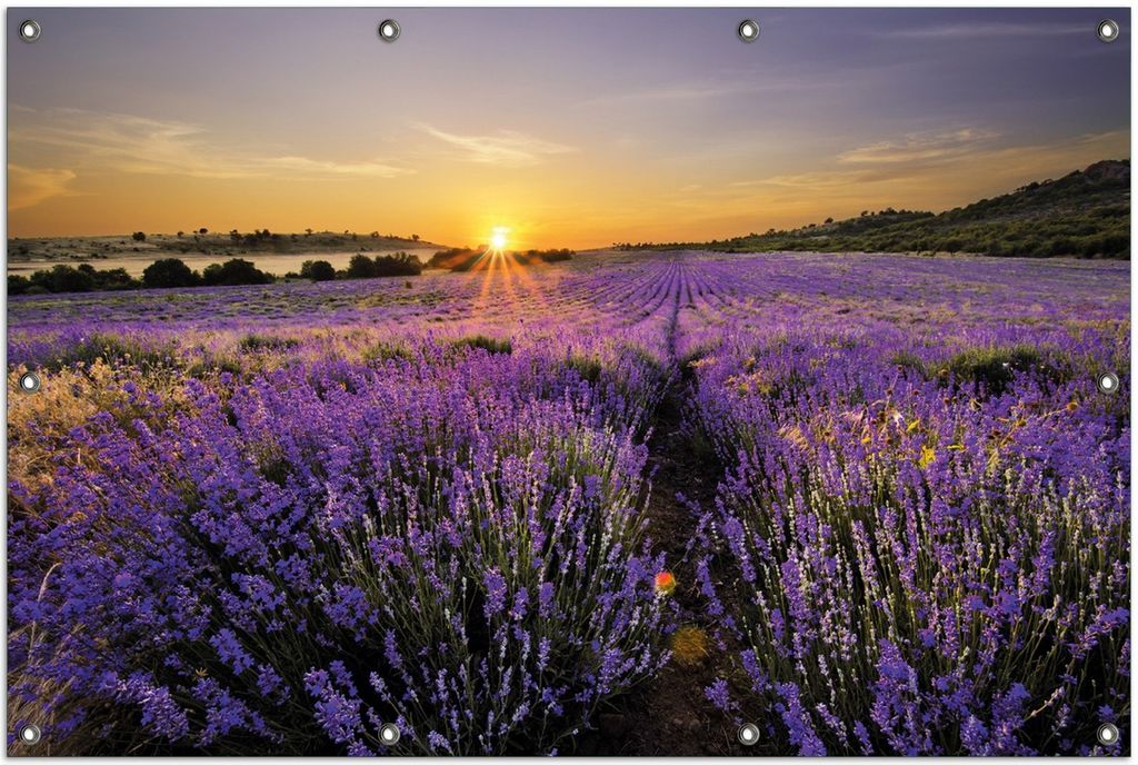 Wallario Outdoor-Poster für Garten oder Balkon, Motiv Sonnenuntergang über dem Lavendel, in ca. 100 x 150 cm