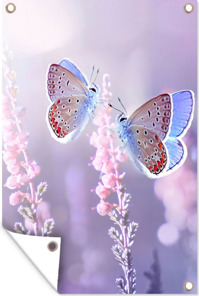 MuchoWow 80x120 cm Outdoor-Poster Gartendeko Sichtschutz Garten Poster für den Garten Schmetterling - Lavendel - Blumen - Lila