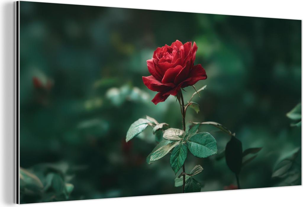 MuchoWow Wanddekoration Metall Metallbild Wandkunst 80x40 cm Rose - Blätter - Tiefrot MuchoWow Aluminium Gemälde - Wanddekoration - Alubild