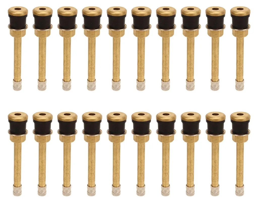 Valves sans Flexible pour Poids Lourds et Bus - Lot de 20 Pièces Pros