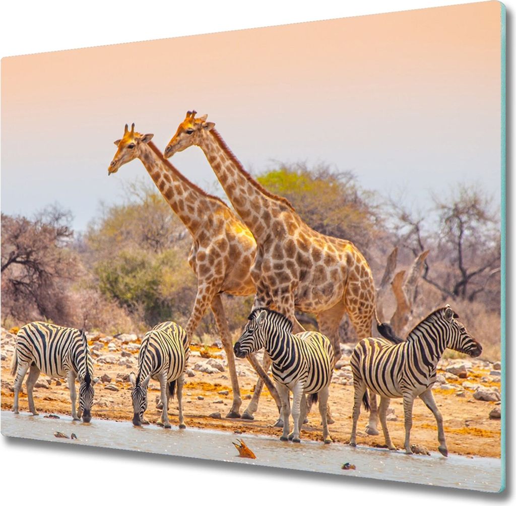 Glas Herdabdeckplatte 60x52 cm Spritzschutz Glasabdeckplatte Schneidebrett Giraffen und Zebras