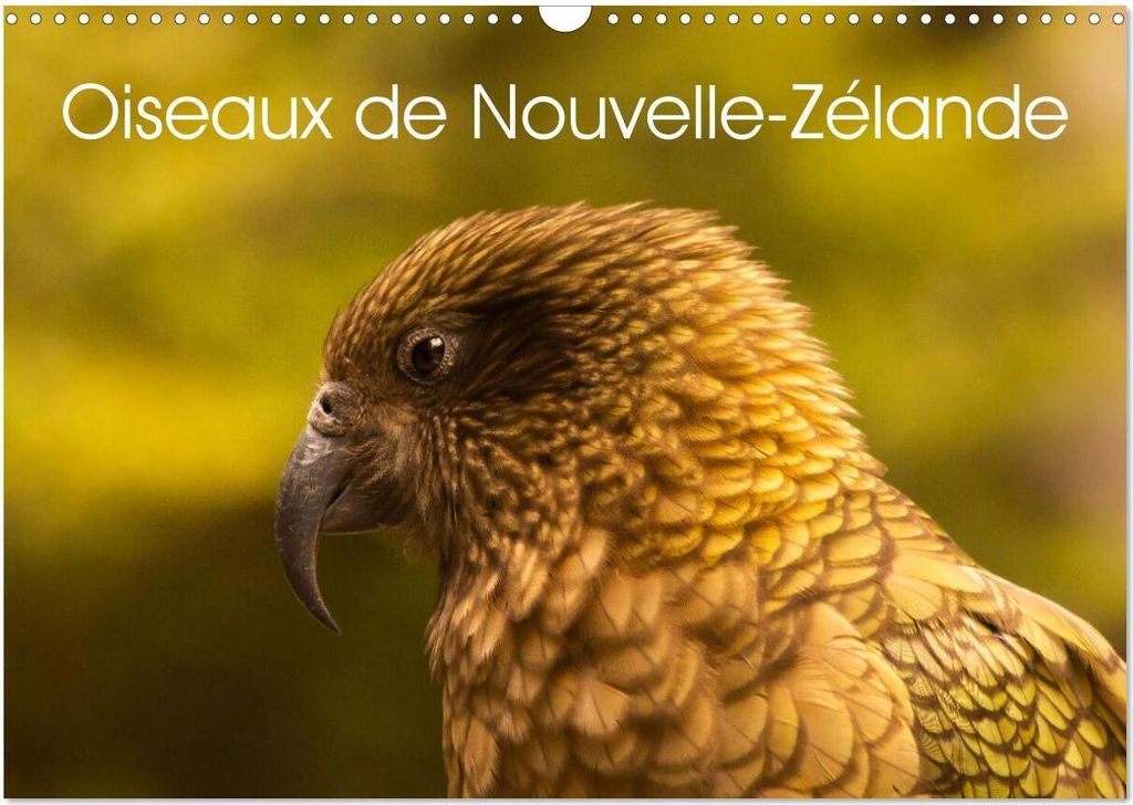 Oiseaux de Nouvelle-Zélande (Calendrier mural 2026 DIN A3 vertical), CALVENDO calendrier mensuel