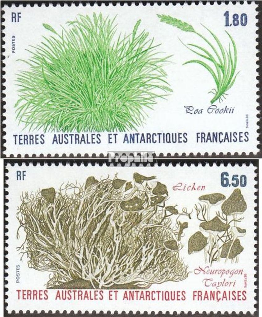Briefmarken Französ. Gebiete Antarktis 1987 Mi 223-224 (kompl.Ausg.) postfrisch Pflanzen der Antarktis