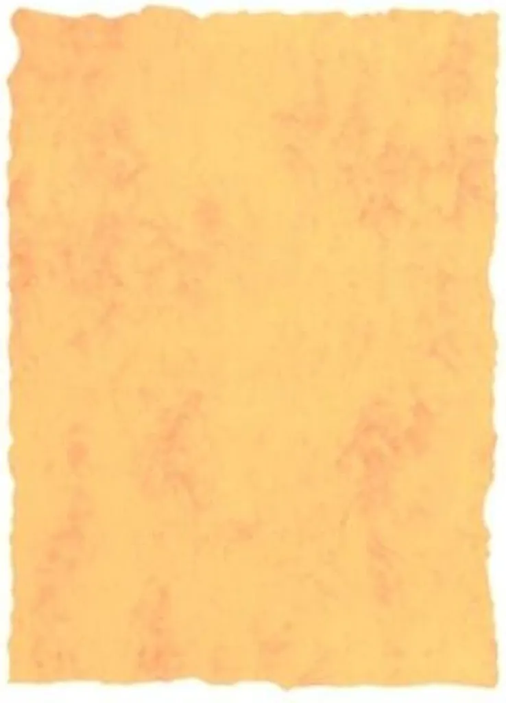 Michel Yellow A3 Carta Pergamena 200g Punzonata - Kit 25 Fogli Premium
