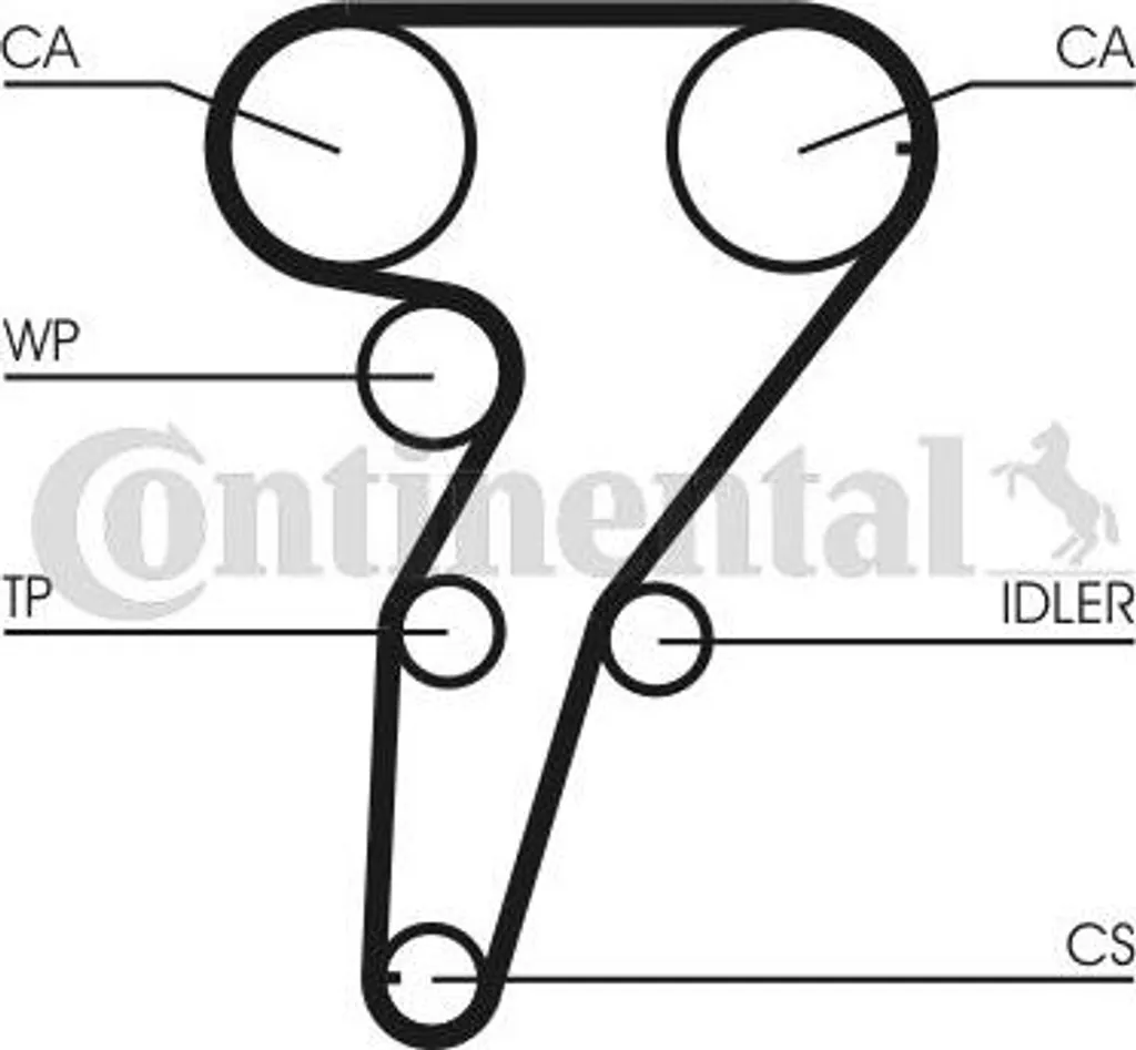 Kit courroie Continental CT947K1 : stop aux bruits moteur de Thesis