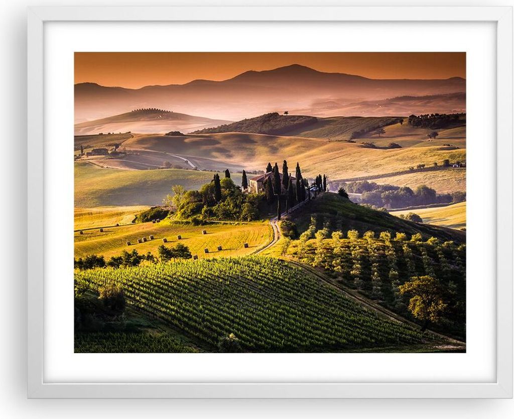Gerahmtes Poster - Weißer Rahmen - Landwirtschaft Bauernhof Toskana Weinberg - 50x40 cm - Wand Bild - Wanddeko - Wandbilder - Wandposter - Bilderr...