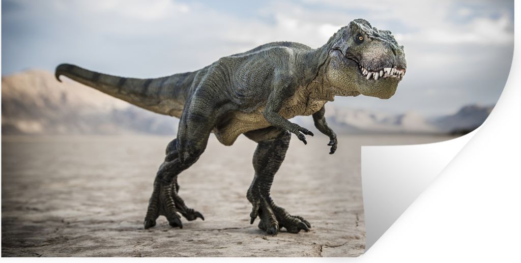 MuchoWow Wandtattoo Wandsticker Wandaufkleber Dinosaurier - Sand - Spielzeug 40x20 cm Selbstklebend und Repositionierbar - Aufkleber