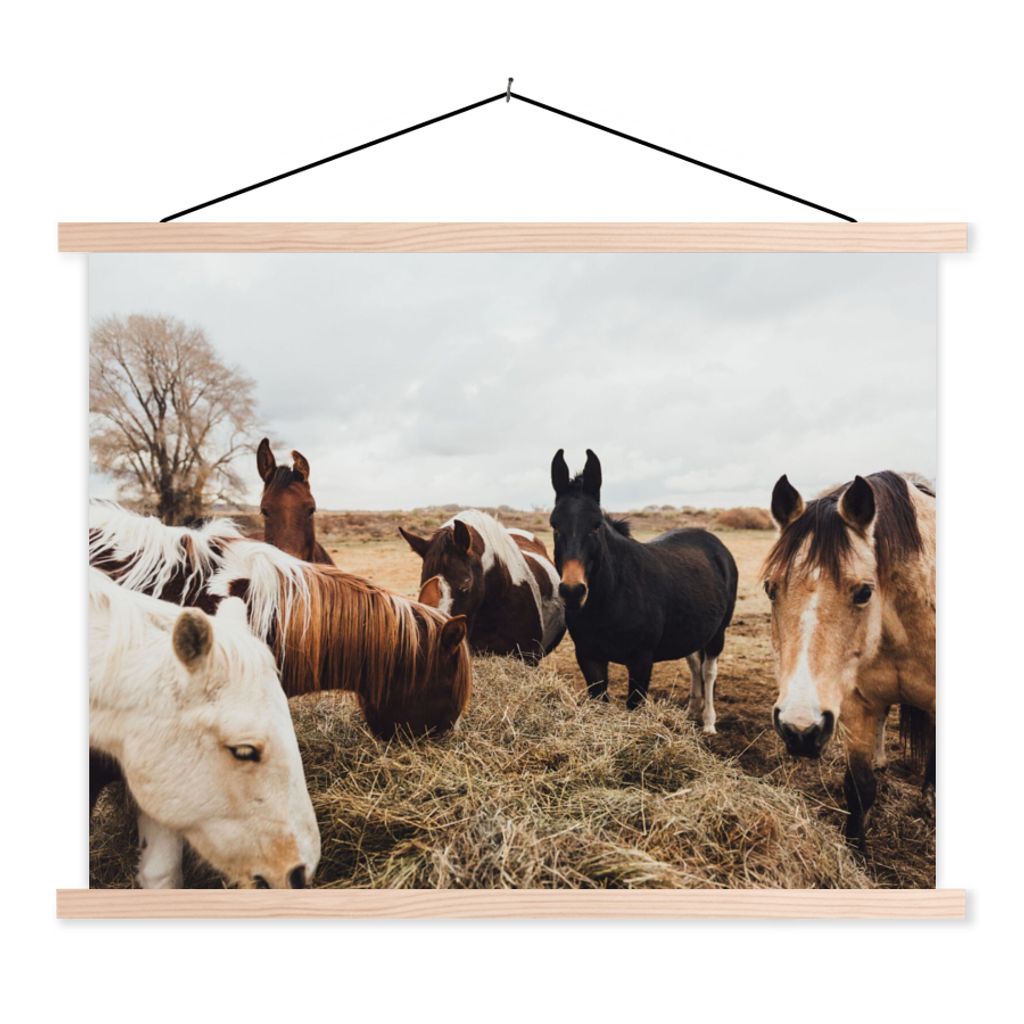 MuchoWow Textilposter Tiere - Pferd 120x90 cm mit holzfarbenen Rahmen - Magnetisch