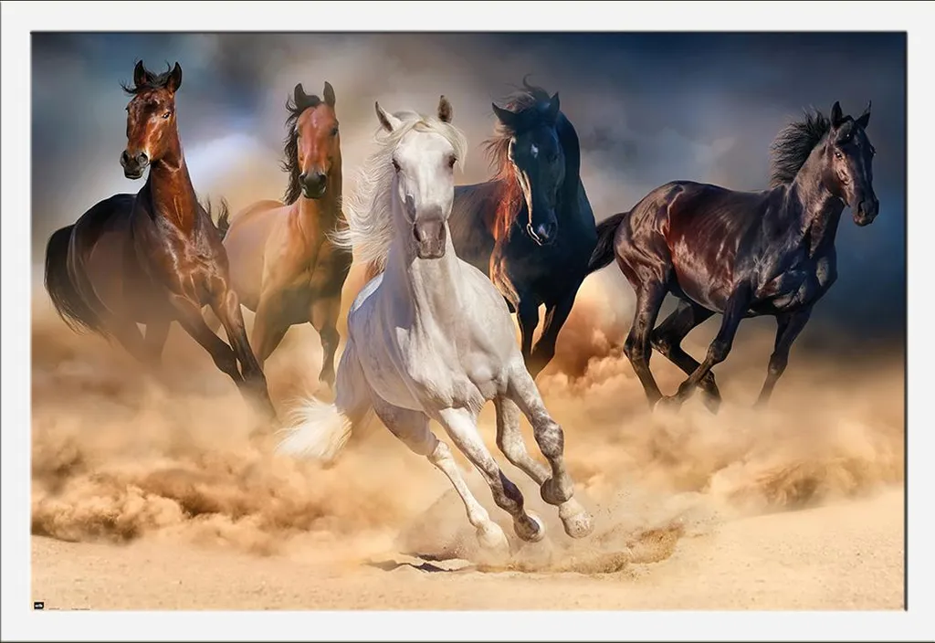 Cadre Photo avec Poster de Chevaux Sauvages en Grand Format Shinsuke